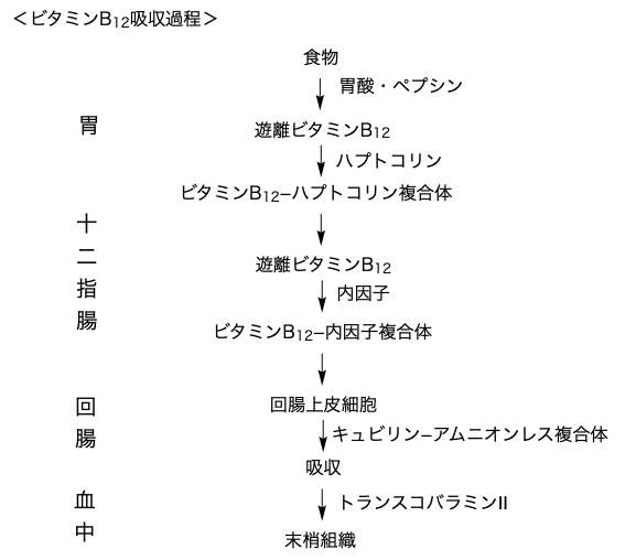 解説画像